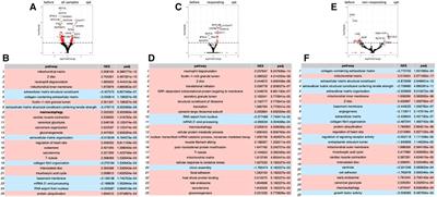 Molecular effects of cardiac contractility modulation in patients with heart failure of ischemic aetiology uncovered by transcriptome analysis